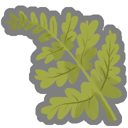 Delicate Frond relics icon in Slay the Spire 2